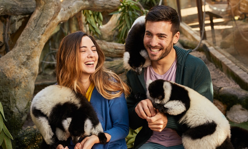 Image 2: Diversión en familia con una entrada a MundoMar y/o Aqualandia