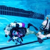 Image 7: Try Dive SCUBA Lesson for Beginners – Perfect for One or Two People