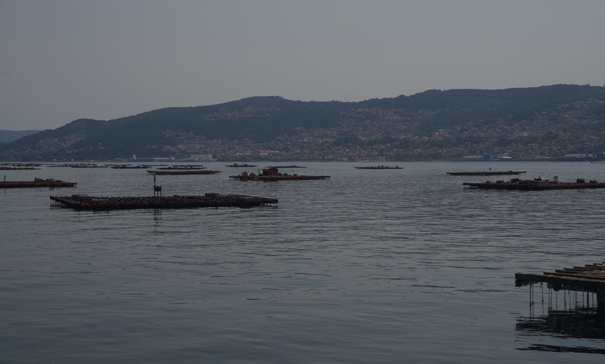 Image 9: Ruta del mejillón con degustación en catamarán para niño o adulto