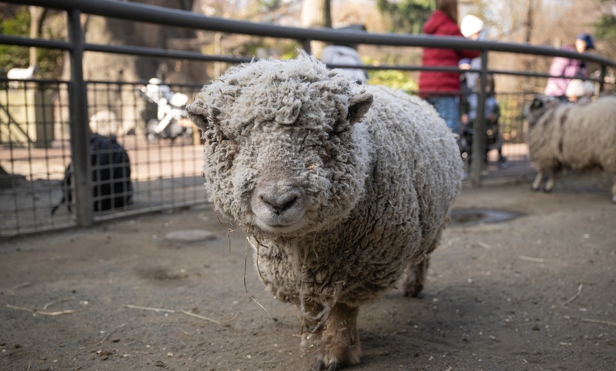 Image 13: Admission for One Child or Adult to Central Park Zoo