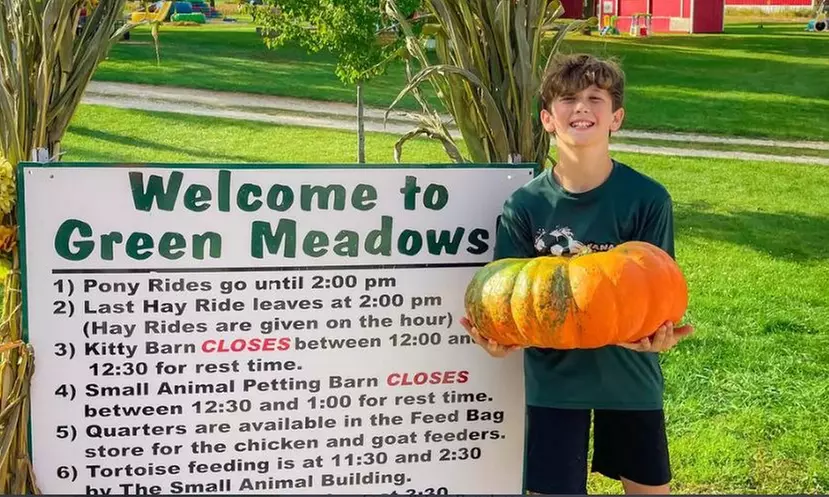 Reunite with Nature Picking Pumpkins at Family-Owned Petting Farm