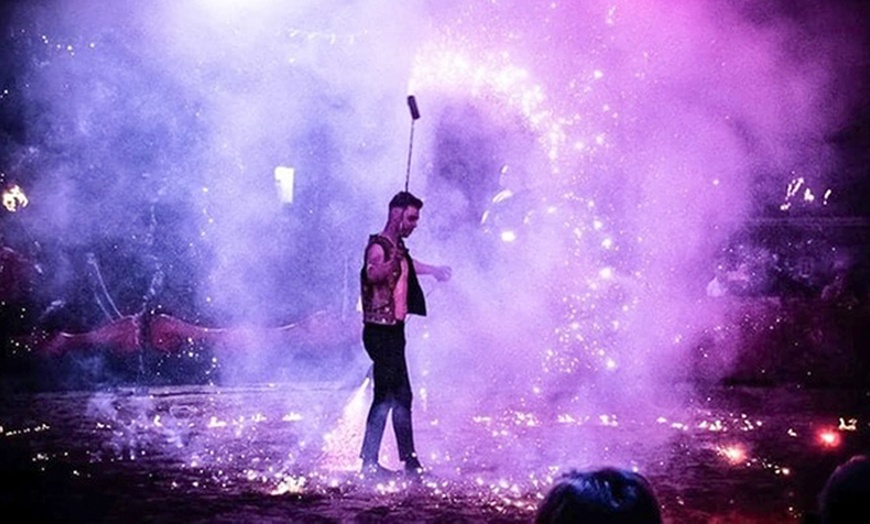 Image 2: Dancing with Horses 2025: ticket voor 23 of 24 augustus in Wassenaar