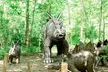 Walk Among Dinosaurs - General Admission for 2,3 or 4 People at Prehistoric Park(Up to 29% Off) - Second Medium