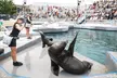  Explore the Depths with New York Aquarium Admission for One Child or Adult (Up To 10% Off) - Second Medium
