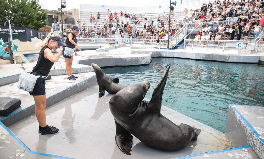 Image 4: New York Aquarium Admission for One Child or Adult