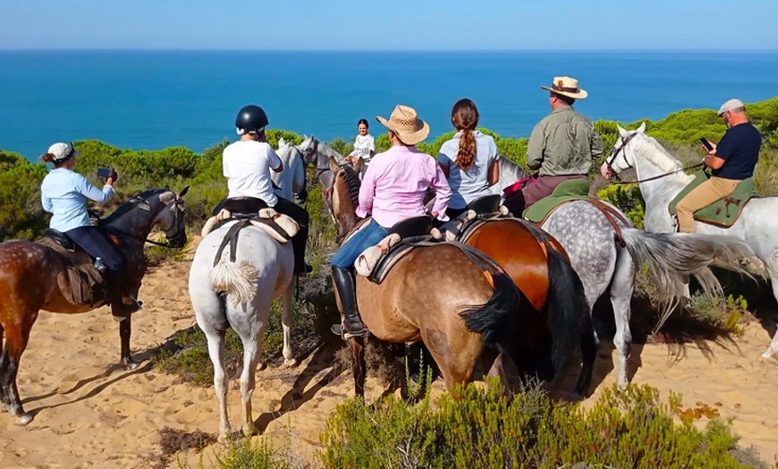 Image 3: Ruta relax a caballo por las Dunas de Doñana para 1 o 2 personas