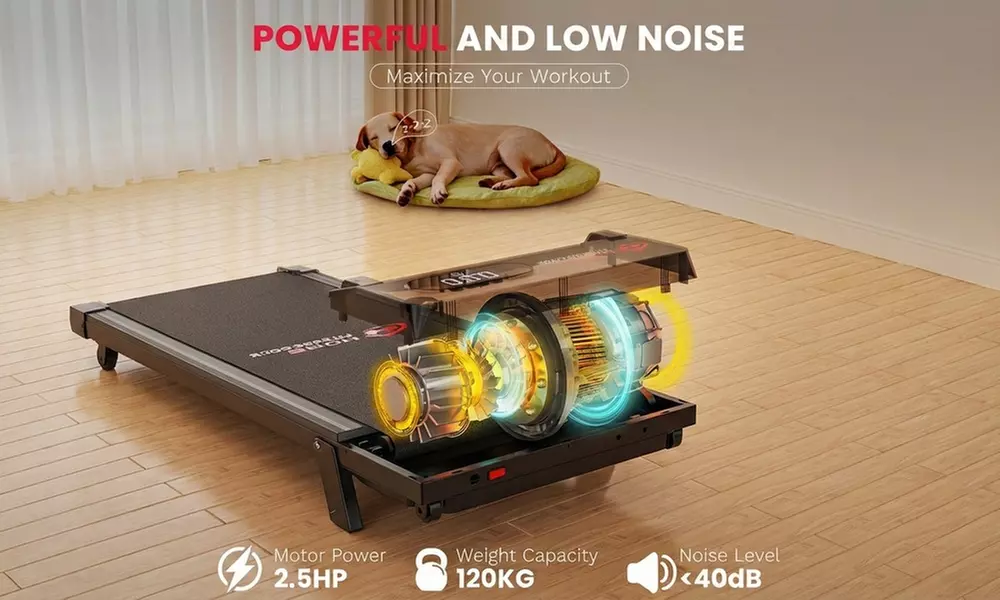 2-in-1 Foldable Walking Pad and Jogging Treadmill