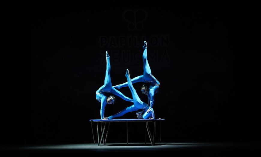 Image 2: Ticket für spektakuläre Shows & Musik: 12. Krefelder Weihnachtscircus