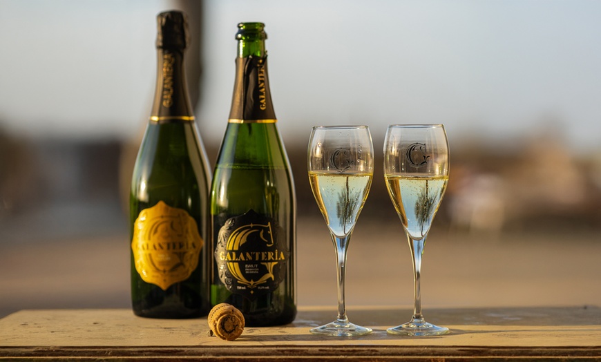 Image 2: Visita a viñedo y cata de 5 vinos con almuerzo