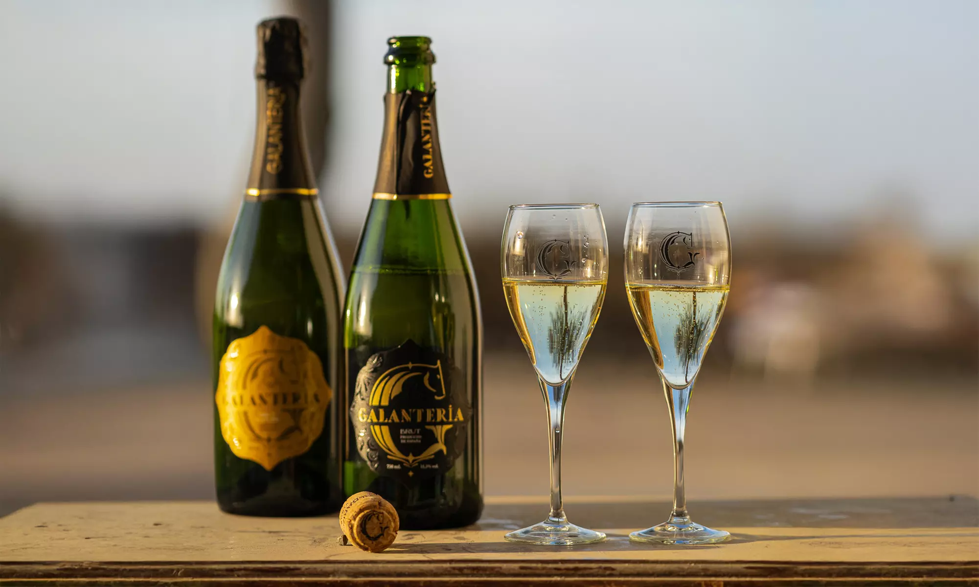 Visita a viñedo y cata de 5 vinos con almuerzo