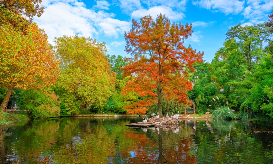 Image 5: Einzigartig wild: Tageskarten für den Zoo Duisburg