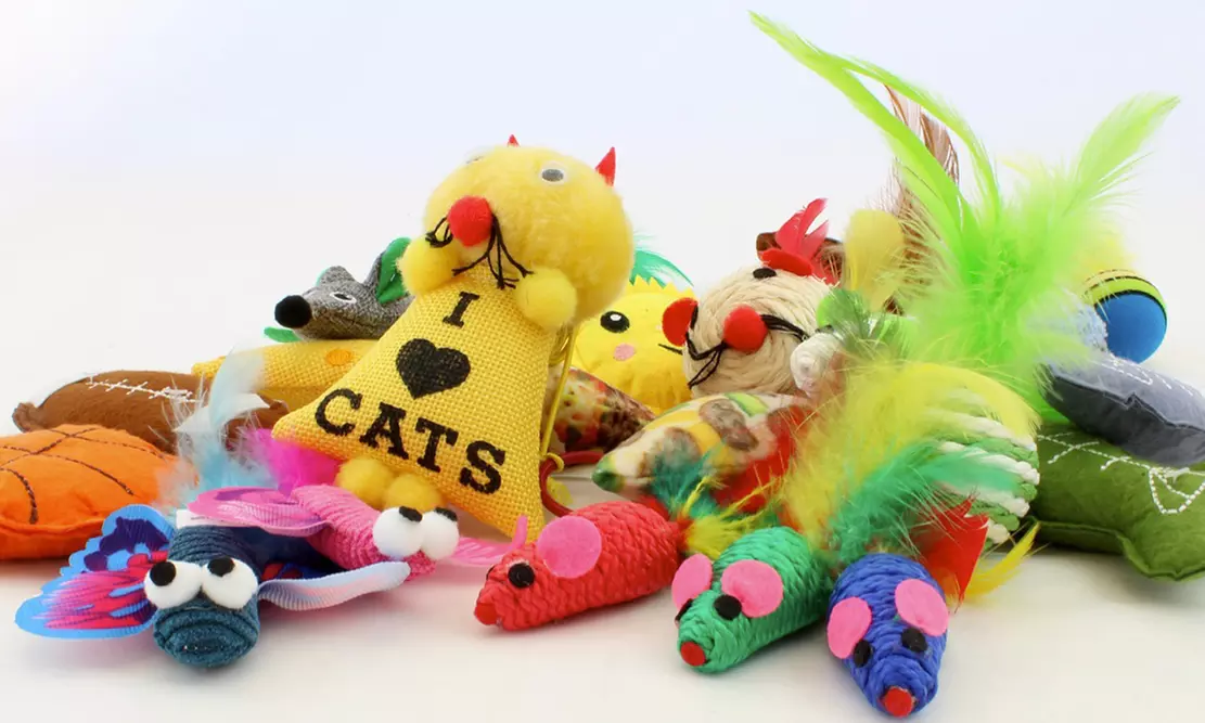 ASPCA Cat Toys Mystery Deal (10-Piece)  - Primary Image