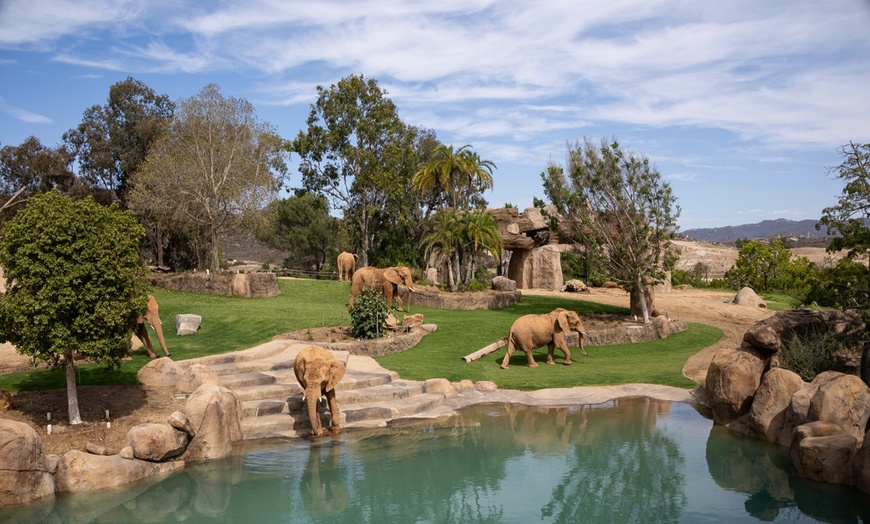 Image 2: San Diego Zoo Safari Park Tickets