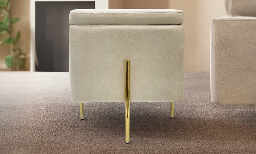 Image 2: Pouf contenitore in velluto