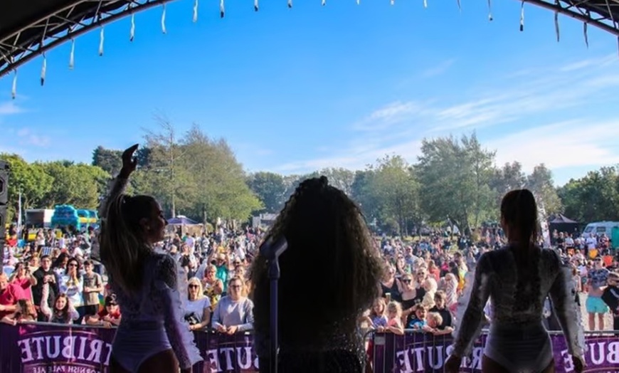 Image 5: Cornwall Tribute Festival 2025: A Weekend of Live Music & Fun