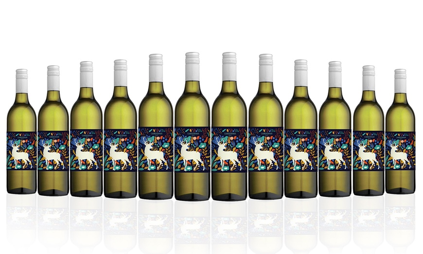 Image 2: WHITE DEER CHARDONNAY 2022 (12 BOTTLES)