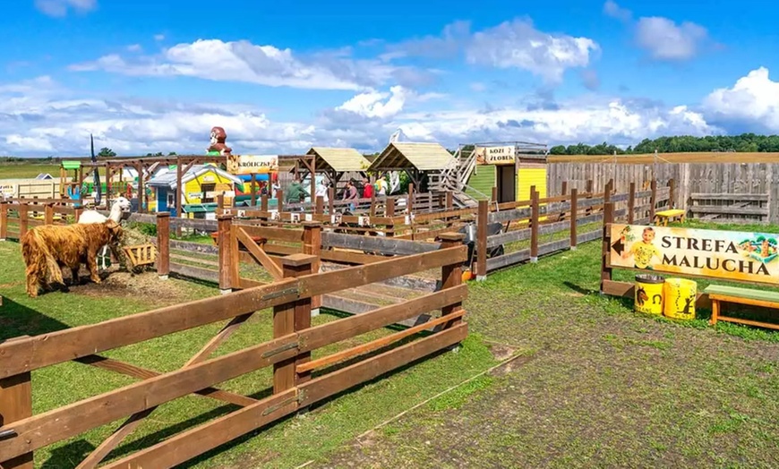 Image 9: Rodzinny dzień pełen zabawy w DonkeySzot Mini Zoo i Park Rozrywki