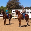 Image 1: Up to 34% Off Private Horseback Riding Lessons - Cherry Stables