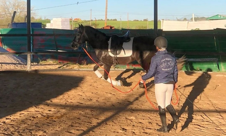 Image 7: Paseo a caballo en entorno natural para cualquier nivel (hasta 4 pax.)