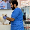 Image 2: Pamper Your Pet w/ Full Grooming for Cats & Dogs (Under or Over 20kg)