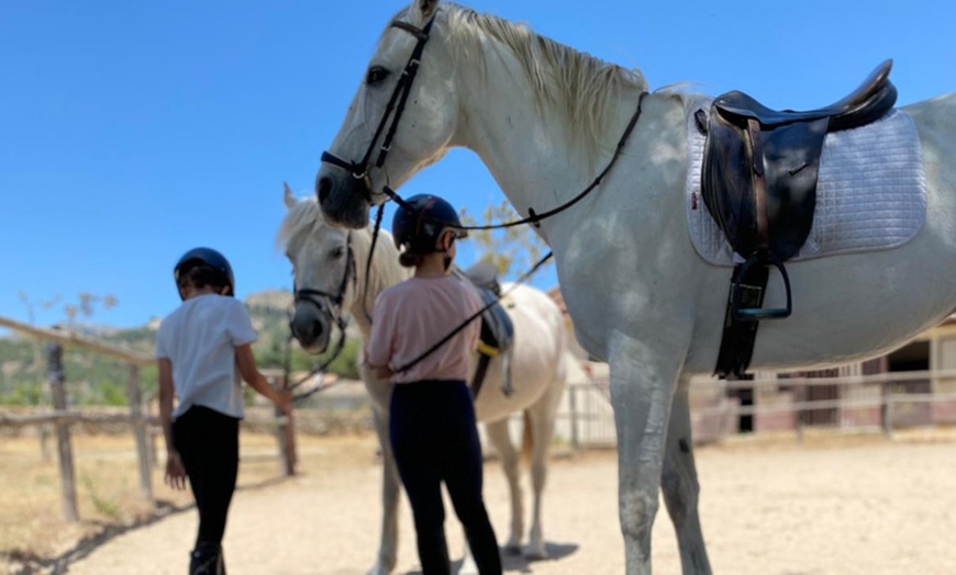 Image 11: Ruta a caballo con comida en plena naturaleza