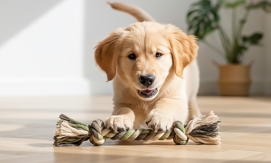Image 2: Ensemble lit pour chien avec 2 gamelles, jouet en corde et porte-sac 