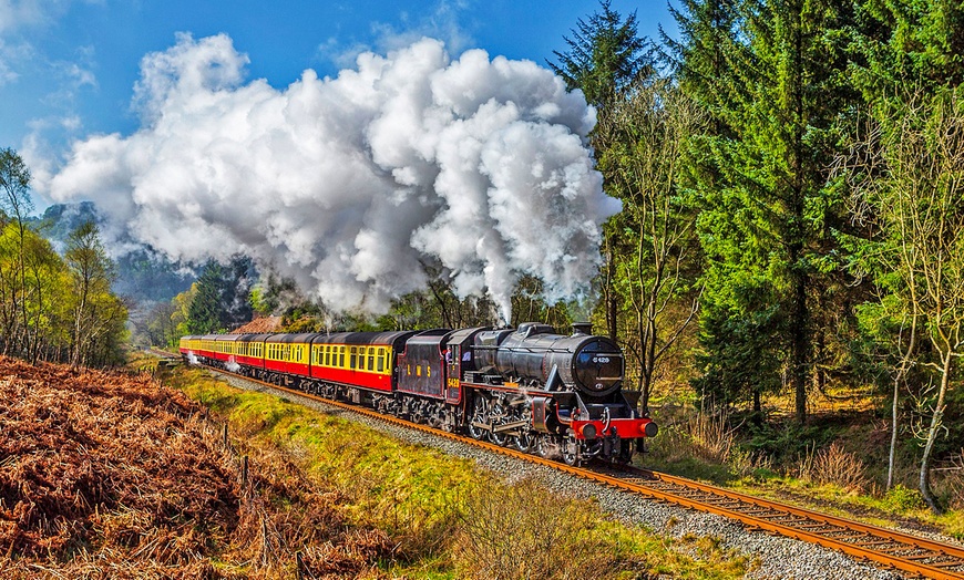 Image 3: North Yorkshire Moors Railway Day Rover Tickets: Up to 51% Off