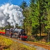 Image 3: North Yorkshire Moors Railway Day Rover Tickets: Up to 51% Off