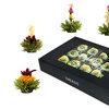 Image 2: Coffrets cadeaux exclusifs fleurs de thé de Creano