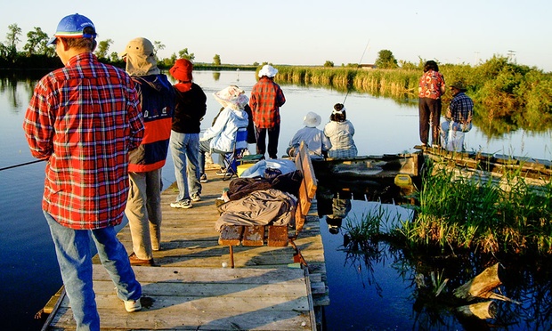 What to expect media