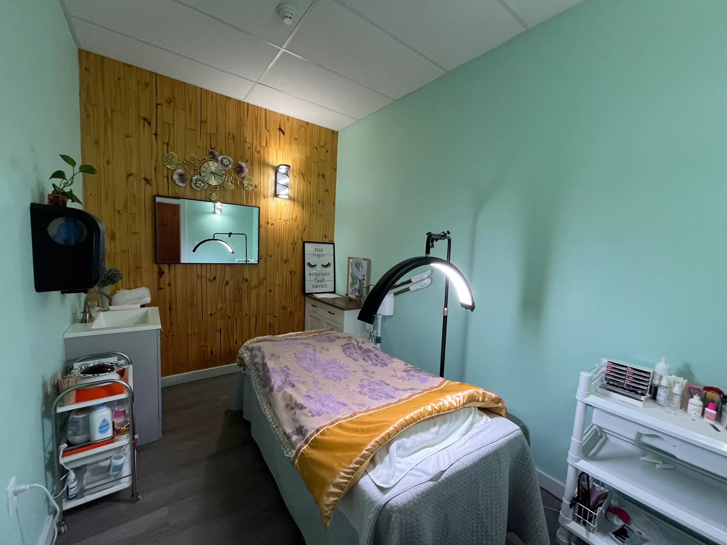 Relax with a 50- or 60-Minute Massage at EVIVE Spa - Springfield