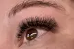 Get Dramatic Eyes with Light Wispy, TechnoFusion, Medium Volume 6D Lashes from Leisure Day Spa (Up to 55% Off) - Second Medium