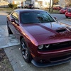 Image 2: Vehicle Interior and Exterior Detailing Packages
