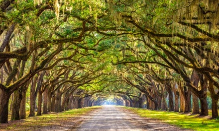 Walking Tour Ticket for 1 Child - Wise Guys Historical Tours