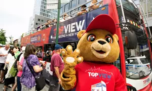 Up to $138 Off 24 Hour Hop On Hop Off Bus NYC Tour Package!
