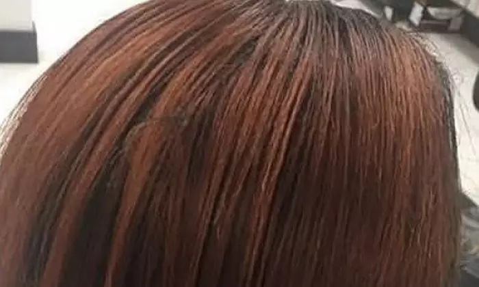 Single Session: Trim, Shampoo, Blowout with Optional All Over Color