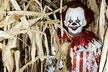 Collins Farm Corn Maze Offers 1, 2 or 4 Tickets for Corn, Flashlight Mazes or Outdoor Escape Room(Up To 33% Off) - Second Medium