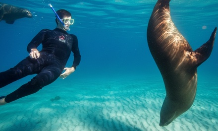 1.5-Hour Wildlife Adventure Cruise - 1 Child - Moonraker Charters