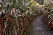 Experience a Night of Frights and Fun: Admission or Early Bird Admission for 1, 2, 4, or 6 (Up to 90% Off) - Second Medium