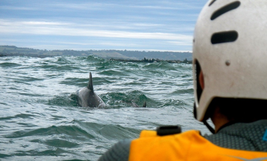 Image 5: Sunrise & Sunset: Explore Byron Bay & Brunswick River by Kayak