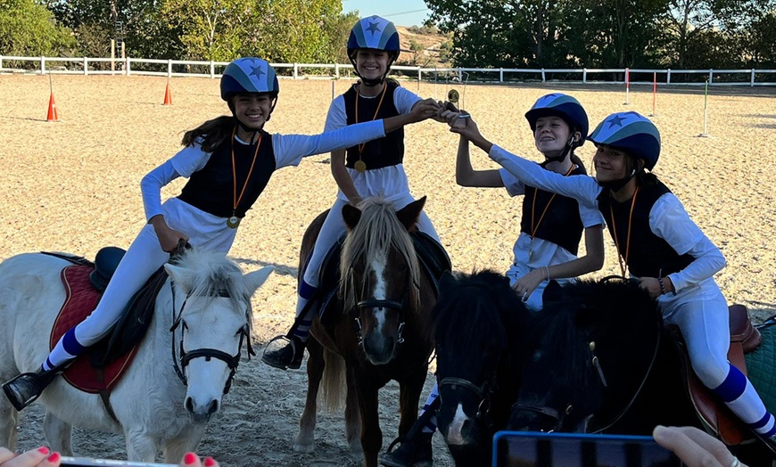 Image 1: ¡Una actividad única! Paseo en poni de 30 minutos para hasta 6 niños