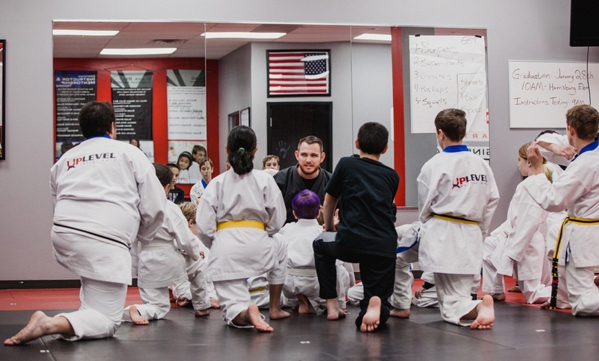 Image 1: One Month of Martial Arts Classes for One Person or the Whole Family