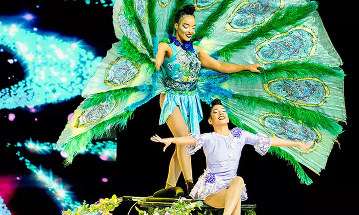 2 Tickets für „Magical Dreams“ vom 28.12.25 bis 30.03.26 in 15 Städten