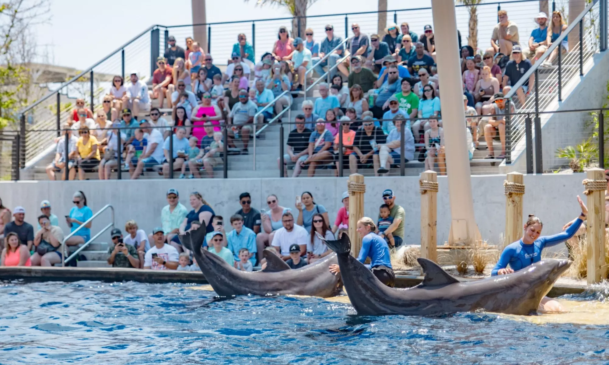 Up to 20% Off Admission or Membership at Gulfarium