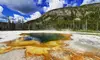 All-Day Best of Yellowstone Day Tour (Up to 30% Off)