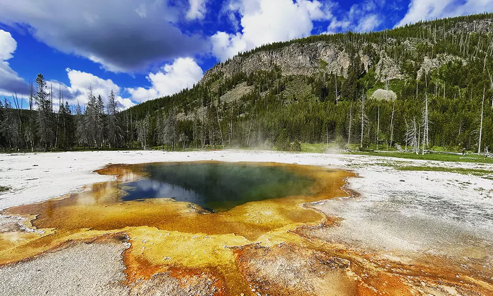 Explore Yellowstone's Full Day Tour with Lunch