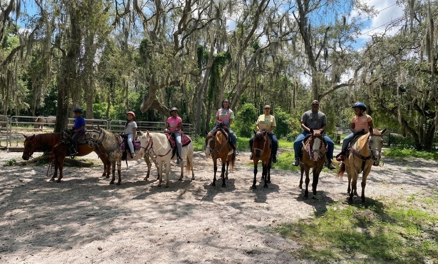 Image 4: Horseback Riding & Swimming with Horses at In The Breeze Ranch