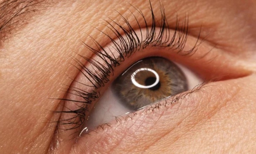 Image 2: Revamp with Eyelash Tinting, Eyebrow Wax + Tint, Lash Lift / Eye Trio 