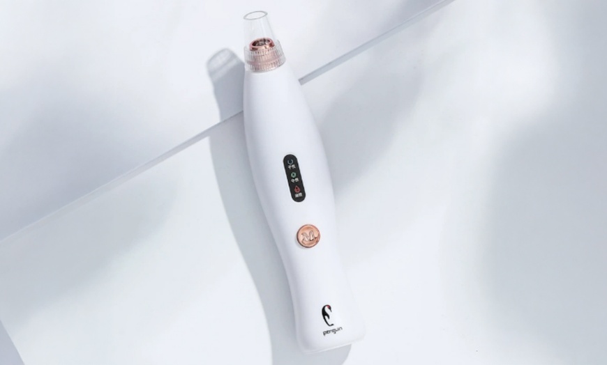Image 6: Electric Blackhead Remover Pore Cleaning Instrument