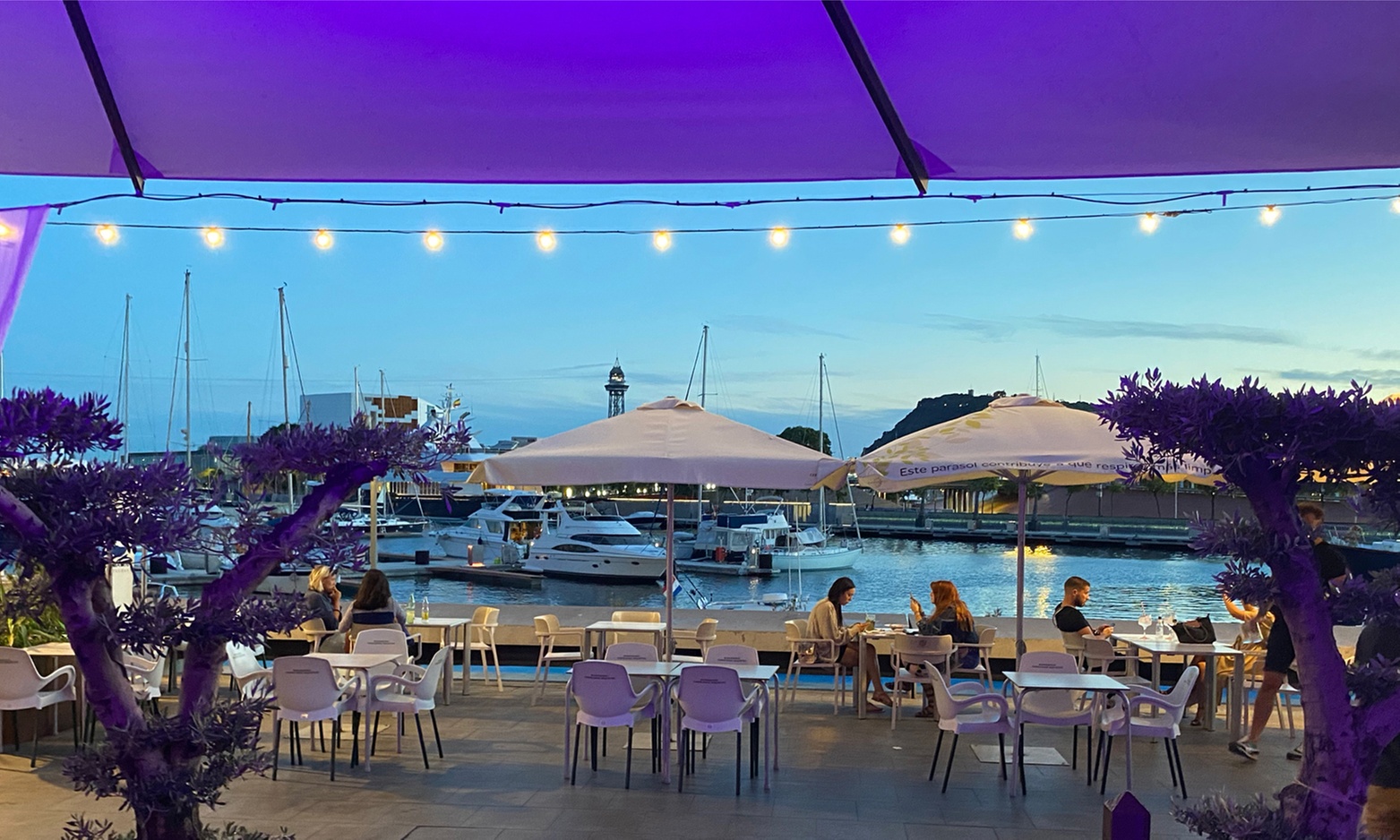 Saborea un menú mediterráneo completo con bebidas en B-One